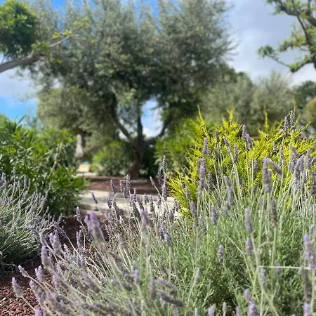 Maison Dei Trulli * ロコロトンド