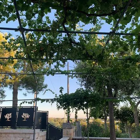 Maison Dei Trulli ロコロトンド
